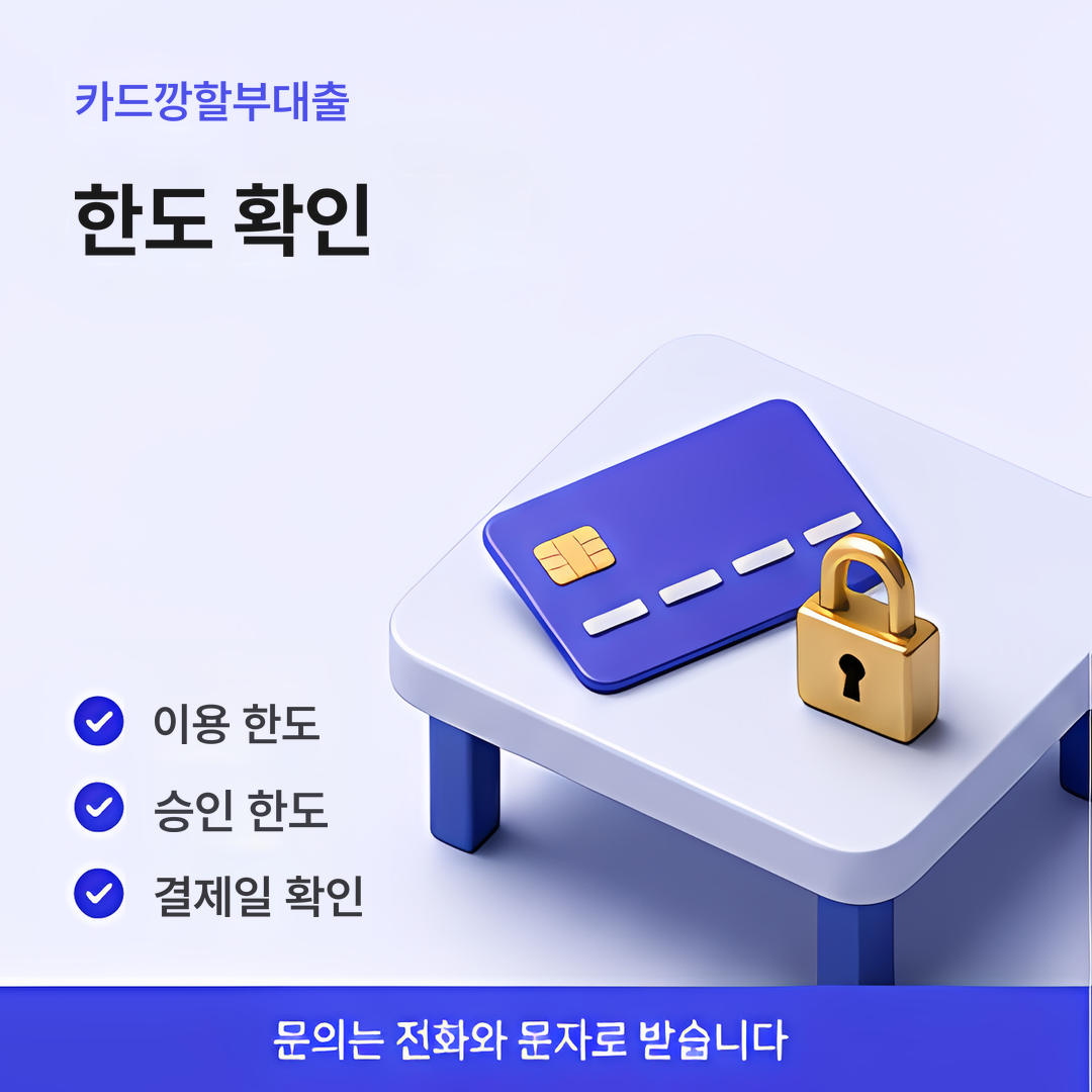 다음머니 카드깡할부대출 한도 확인 안내 이미지